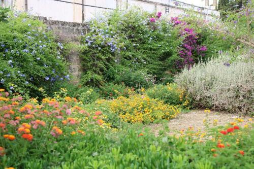 B&B Il Giardino Di Paola