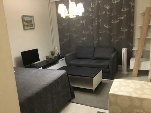 Apartamento Yksi� Uudenmaankatu