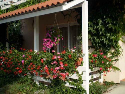 Apartment In Rab/insel Rab 17563