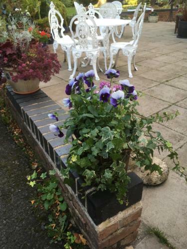 Bed & Breakfast Elmdon Lodge