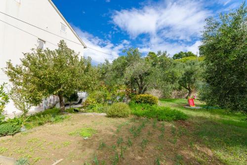 Apartments Ankica