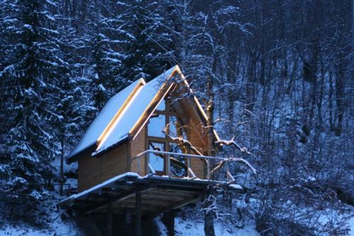 Tree House