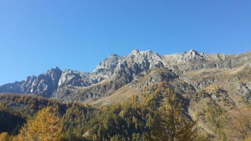 Apartamento Chalet Stella Alpina