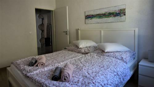 Casa Acqua - Istria Travel