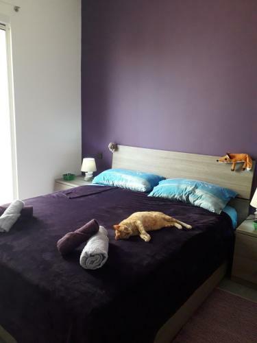 Hostal Furr, Purr & Pool