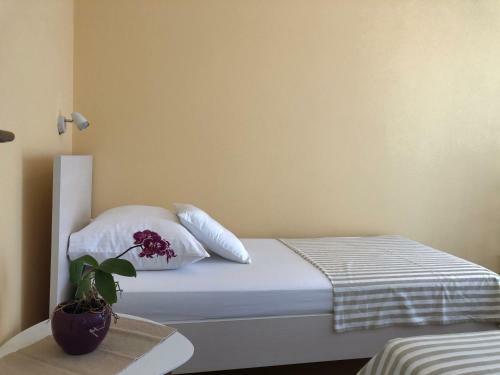 Bed & Breakfast Pansion Aco