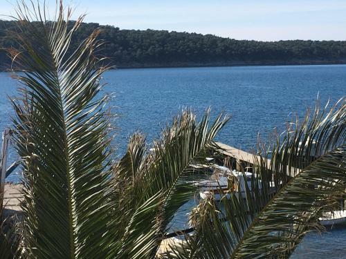 Apartmani Marina Pi?uljan 2