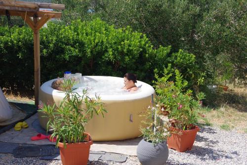 Apartments Opsenica