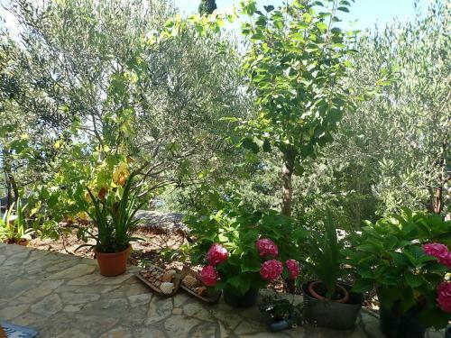 Apartamento Studio Mare -30 M From A Lonely Beach