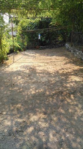 Muki's House