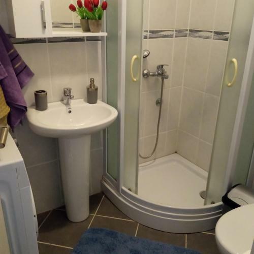 Apartman Bilja