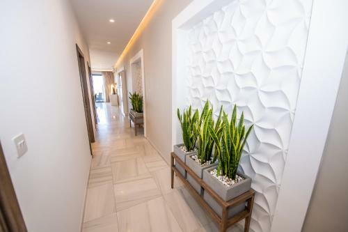 Artist Terrace Apartments