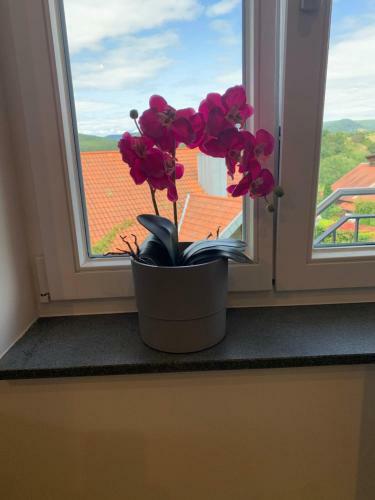 Apartamento Freiraum