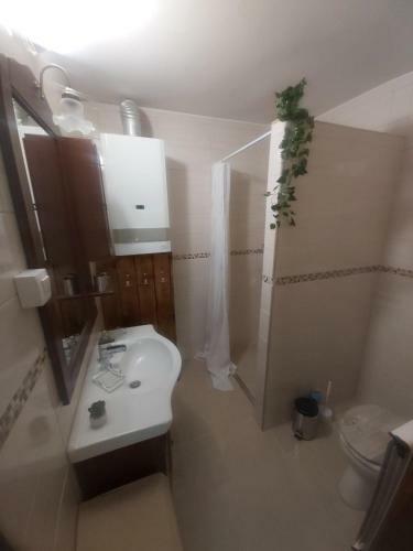 Apartamento Sz�kely-f�szek Vend�gh�z