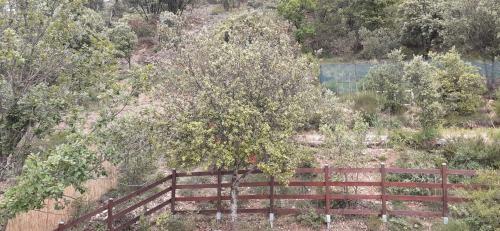 Apartamento Le Petit Grillo - Gite Proche Des Gorges Du Verdon