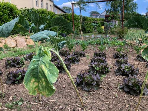 Apartamento Vue Sur "le Potager"