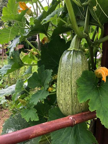 Apartamento Vue Sur "le Potager"