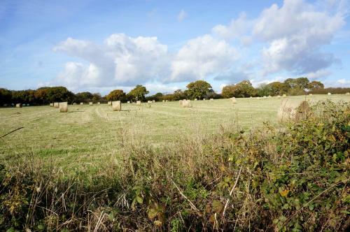 Bed & Breakfast Leyland Suites