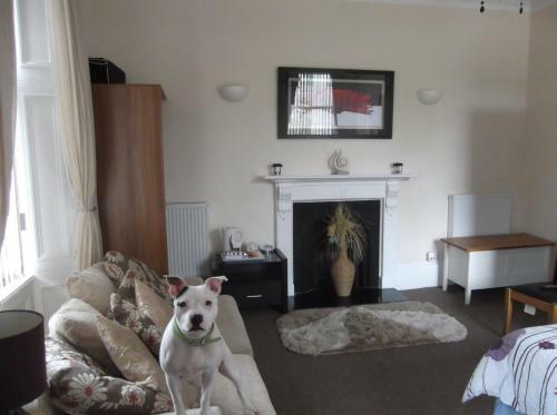 Hostal Teviotside Guest House