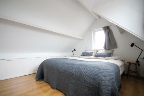 Spacious Apartment Alkmaar City Center