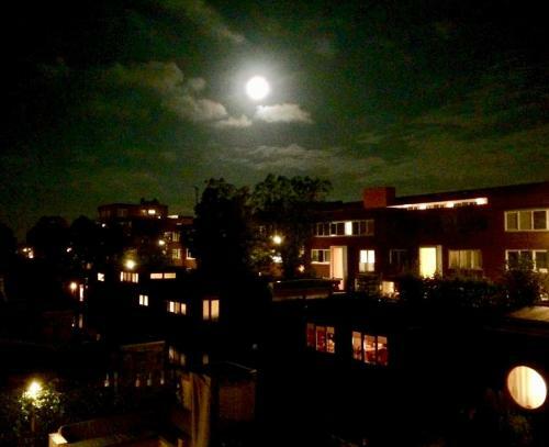Canal House - Homestay