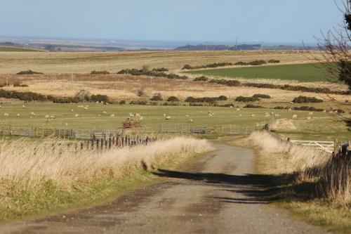 Middlemoor Farm Holidays