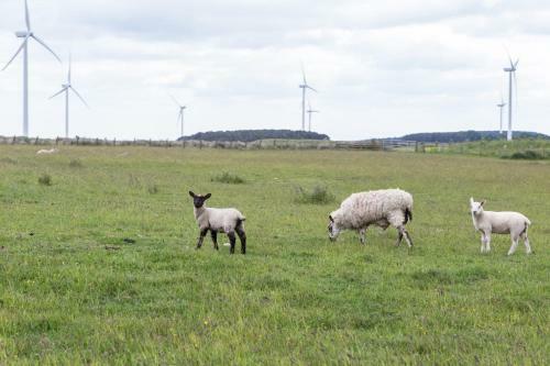 Middlemoor Farm Holidays