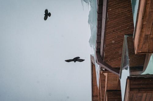 New Gudauri Apartment Loft 2 N332