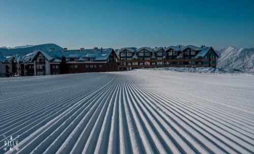 Apartamento New Gudauri, Alpic, Room #208 With Ski-depot