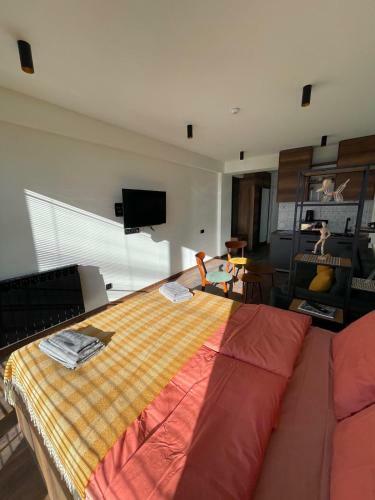 Colorful One-bedroom Apartment In New Gudauri