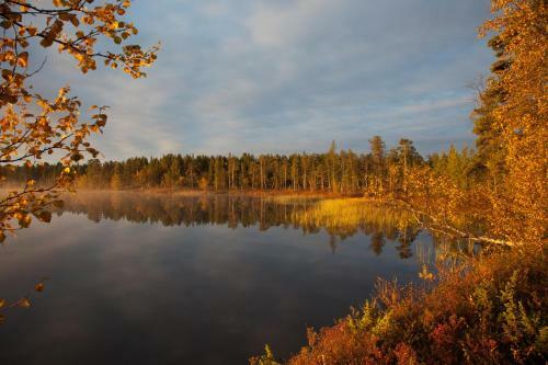 M�kki - The White Blue Wilderness Lodge