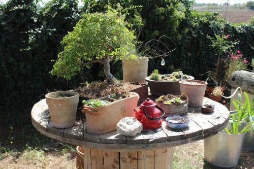Bed & Breakfast Giardino Della Moscatella