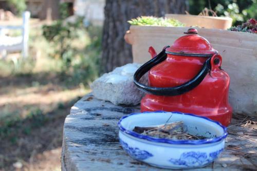 Bed & Breakfast Giardino Della Moscatella