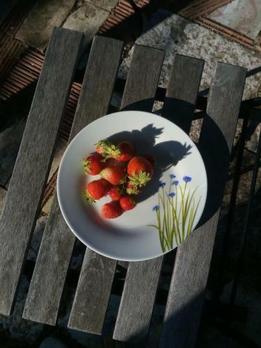 Bed & Breakfast Giardino Della Moscatella