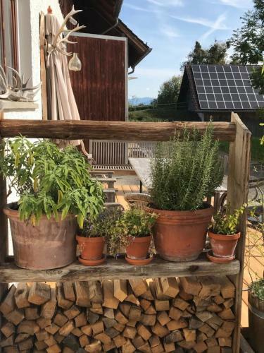 Apartamento Ferienwohnung Mit Alpenblick