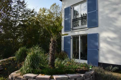 Apartamento Logeerstudio 22