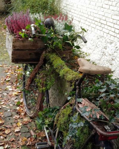 B&B Wood, Food & More