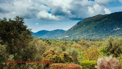Apartamento Bourikos House Corfu