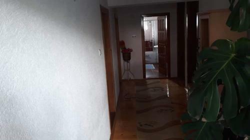 Apartment Little Village 2