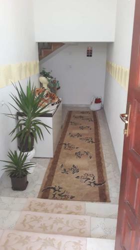 Apartment Little Village 2