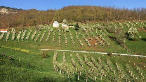 Agroturismo Kljajevica Vocnjak