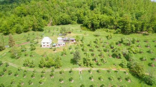 Agroturismo Kljajevica Vocnjak