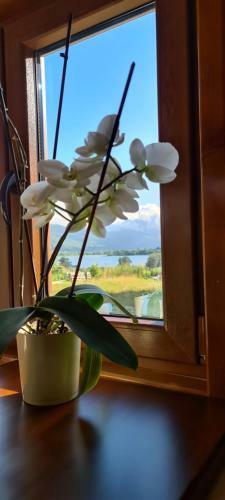 The Lake Breeze Bay