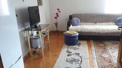 Apartment Little Village