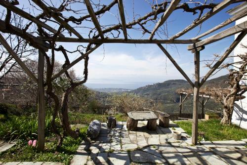 Authentic Pelion House