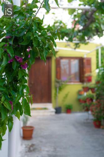 Hostal My Home