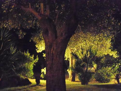 Apartamento Gli Ulivi
