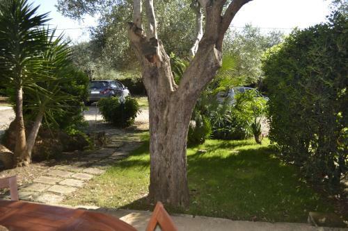 Apartamento Gli Ulivi