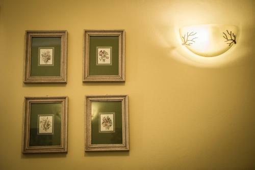 Hostal Piazza Ginnasio Affittacamere