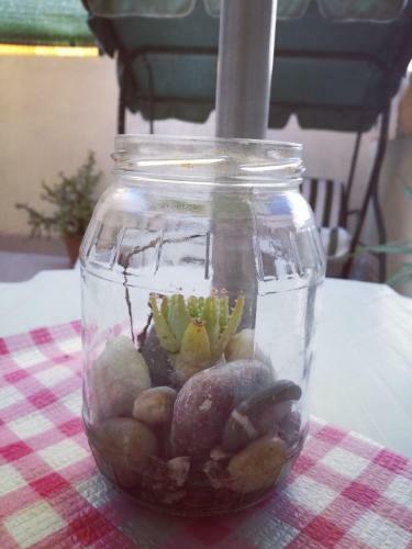 Apartamento Nonna Nina